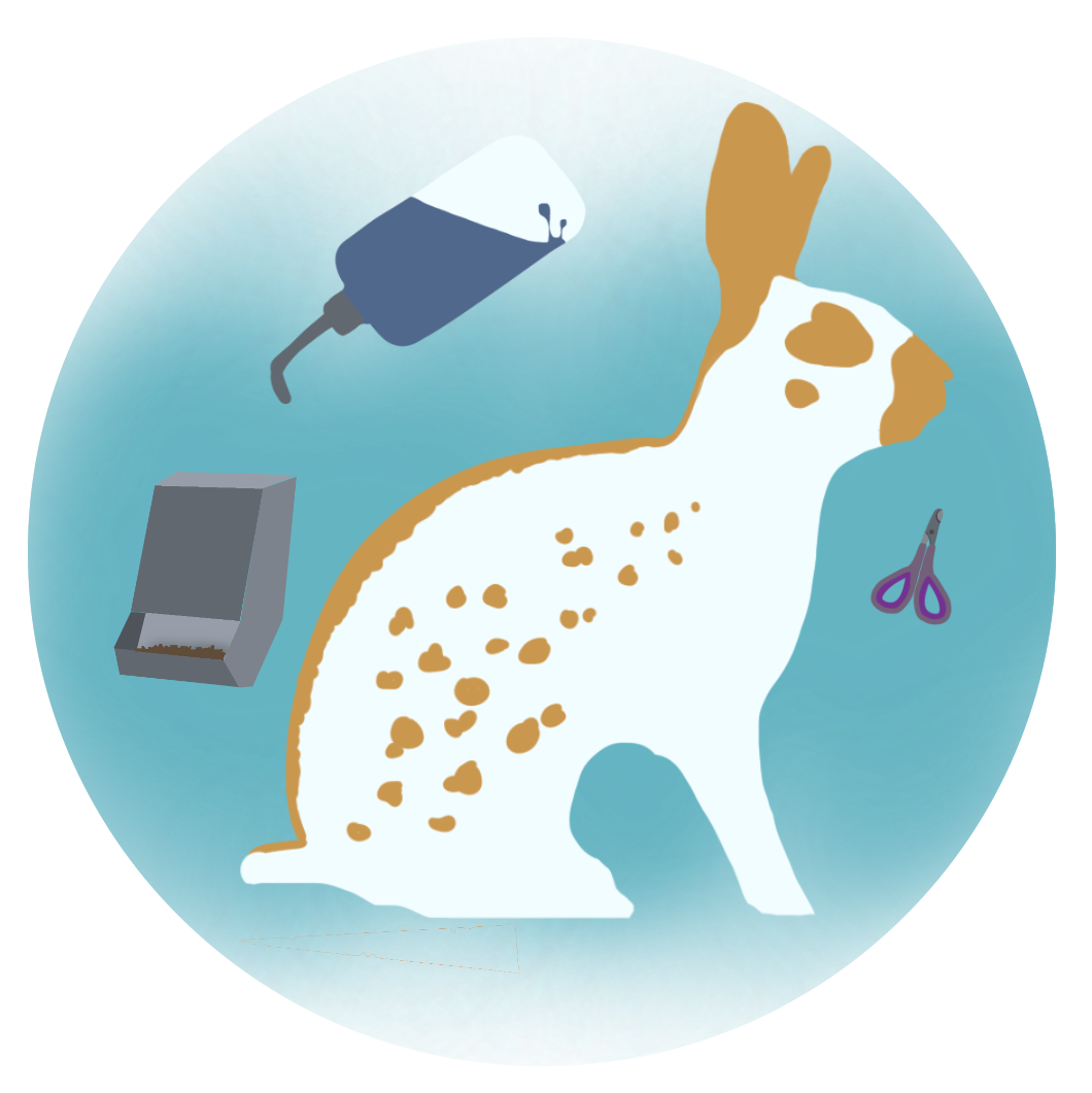 Learn About Spots Image Link